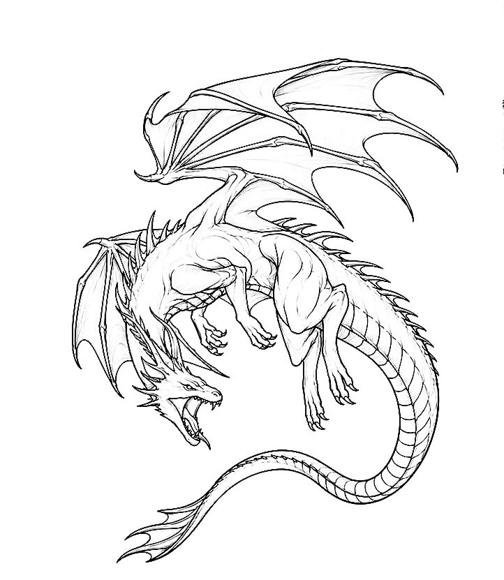 HydIR dragon logo
